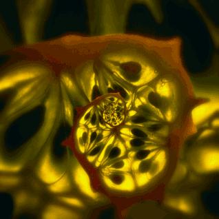 失眠动态图片看了就有睡意,治失眠的图片五秒入睡