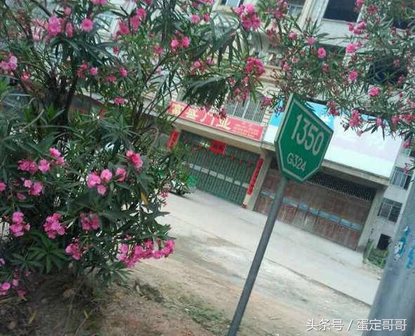 曾经在路上记录的点滴镜头,在路上的日子说说