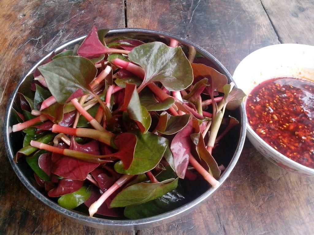 本草鱼腥草,本草纲目中鱼腥草