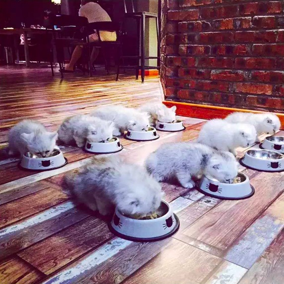 手机拍照赚钱方法大全,怎么利用手机赚钱