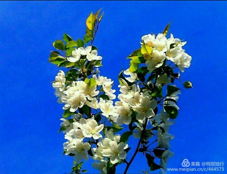 走过四季夏天最美,走过春夏美丽的秋冬