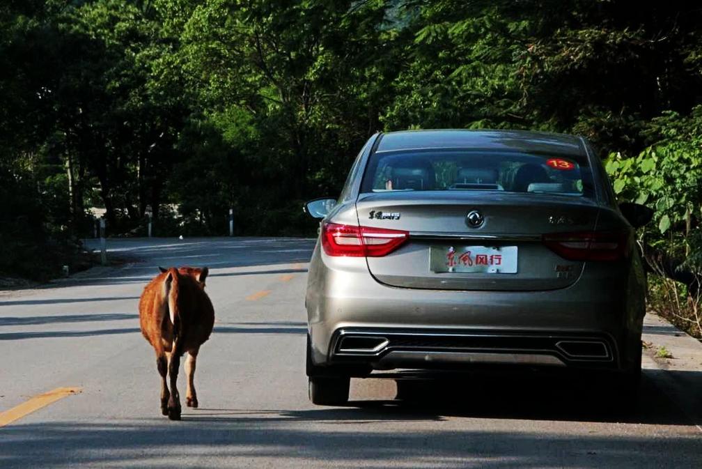 7万元就能买中级车?桂林试驾景逸S50后感叹真值