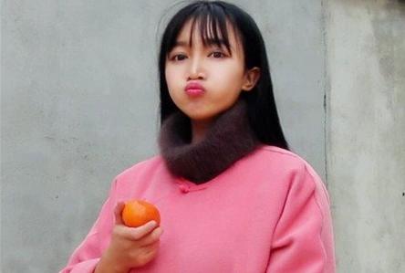 李子柒经历过什么李子柒美食视频怎么停更了