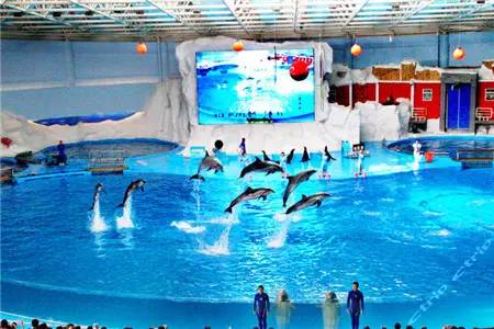 外地人有福了!是谁整理的这本青岛玩乐指南?我要奖励他!