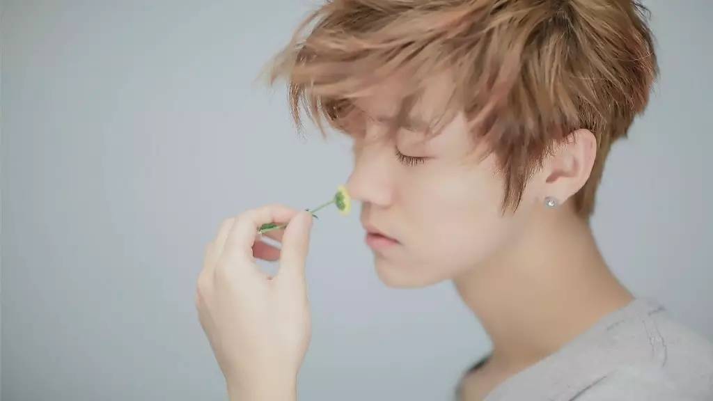 鹿晗树深时见鹿小说,鹿晗森林里的小鹿