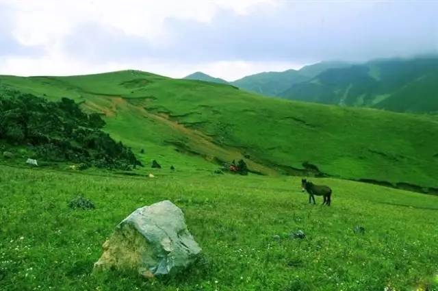 春天来春城昆明7大赏花好去处,昆明小众避暑胜地推荐