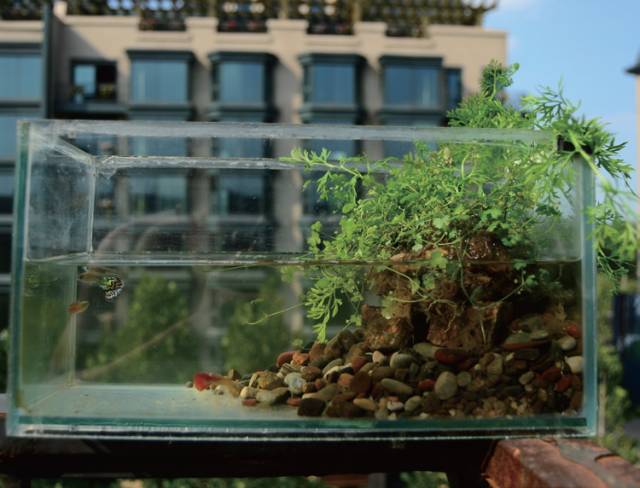 生活小技巧简单桌子做法,做一个懒人必备的桌子