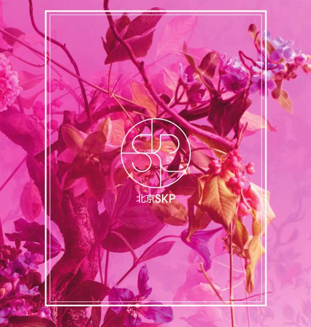 各个奢侈品牌靠什么发家的,那些奢侈的事情