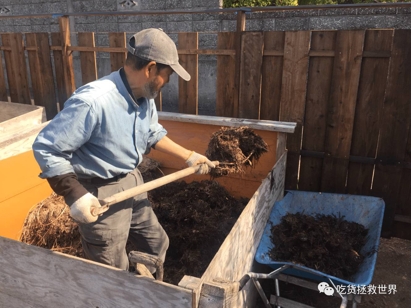 鎴戝湪妯辫姳灏忛晣,鍦ㄦū鑺遍鑸炵殑瀛ｈ妭