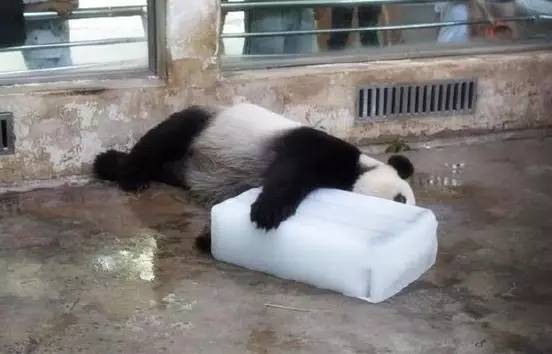 「下周天气」你今天送给妈妈的口红，下礼拜就热化了……