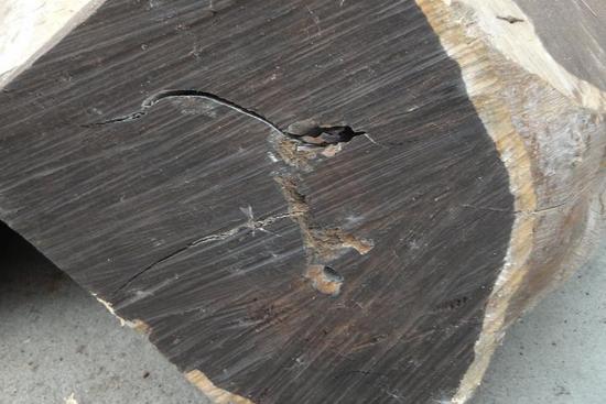 乌木中哪种乌木最好,乌木最高价格是多少