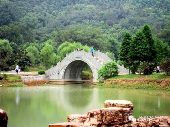 苏州最值得去的五个景点,苏州最值得去的10个景点排名