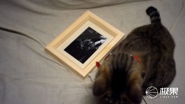 柯达最强胶卷,柯达胶卷现状