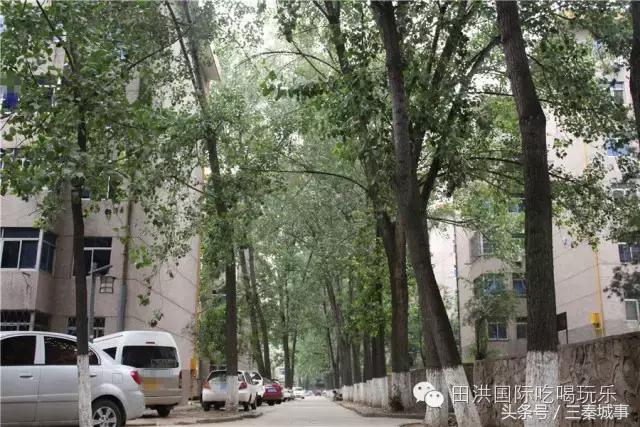 西安最好看灞桥风景,西安灞桥美丽的风景线