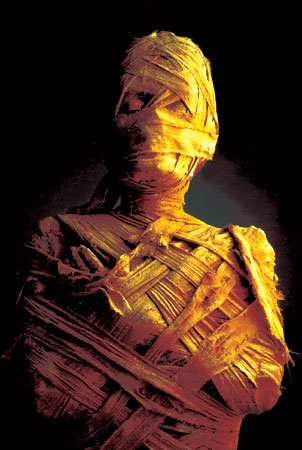 木乃伊与蜂胶,古埃及的木乃伊用粗盐防腐吗