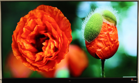 一台电视,一台电视一台投影