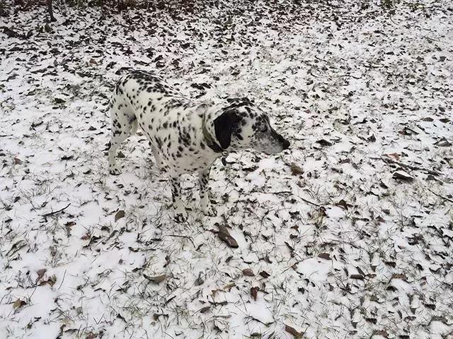 玩转手机摄影轻松拍出大片儿,家中就能拍出大片手机摄影