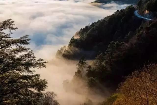 世界那么大,偏独爱神农架