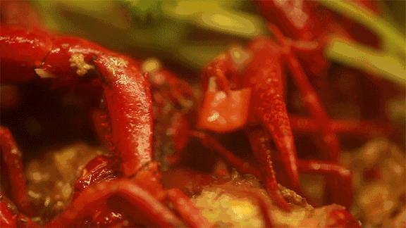 合肥特色龙虾店,合肥龙虾便宜推荐店有哪些