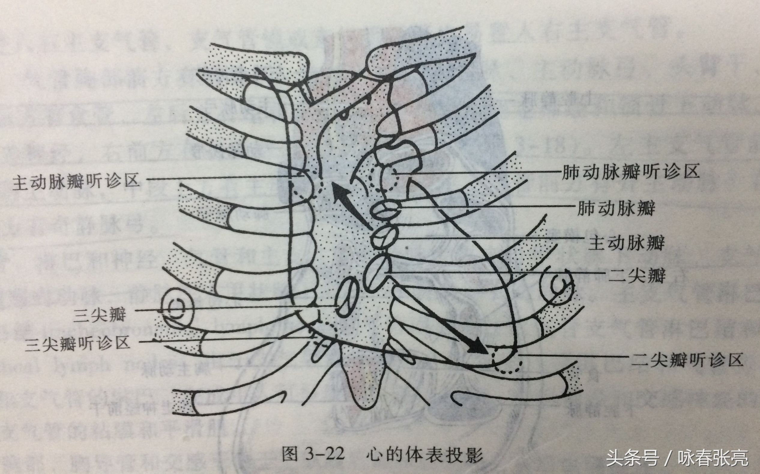 谁说咏春打不过泰拳,谁说传统武术不行你戳我眼睛试试