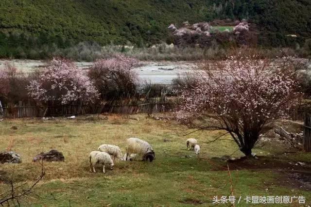 2万5千公里｜跨越半个中国，我们在路上等你