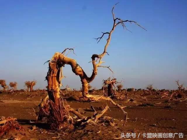 2万5千公里有多远,2万五千公里跨越半个中国