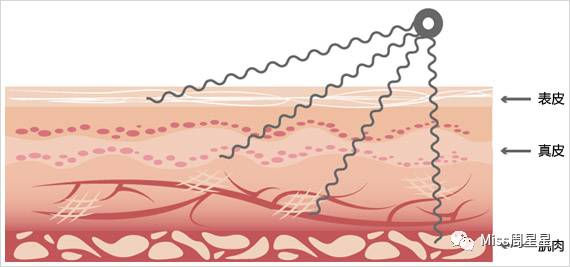 提拉紧致美容仪评测 (紧致提拉美容仪到底有没有用)