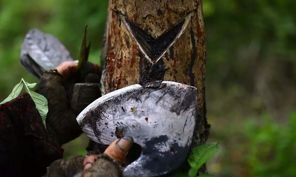 生漆有什么致癌成分吗,生漆的五大缺点