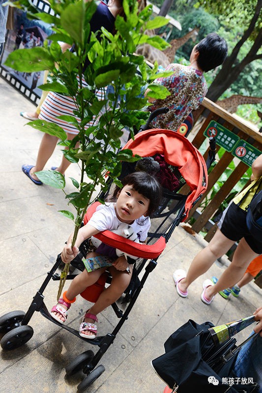 广州长隆野生动物园游玩攻略,广州长隆野生动物园攻略自由行