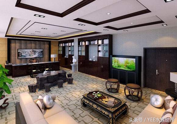 鱼缸养鱼真的能招财吗,养鱼聚财有什么讲究