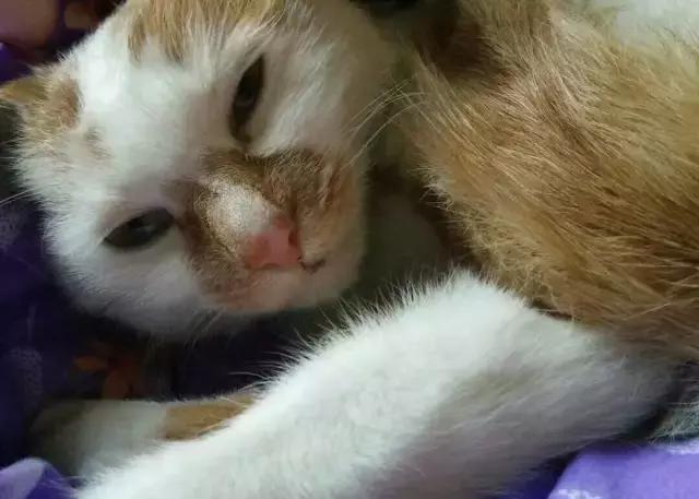 89条城市青年安全指南