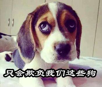 食得咸鱼抵得渴之类的粤语俗语,广东话食得咸鱼抵得渴是什么意思