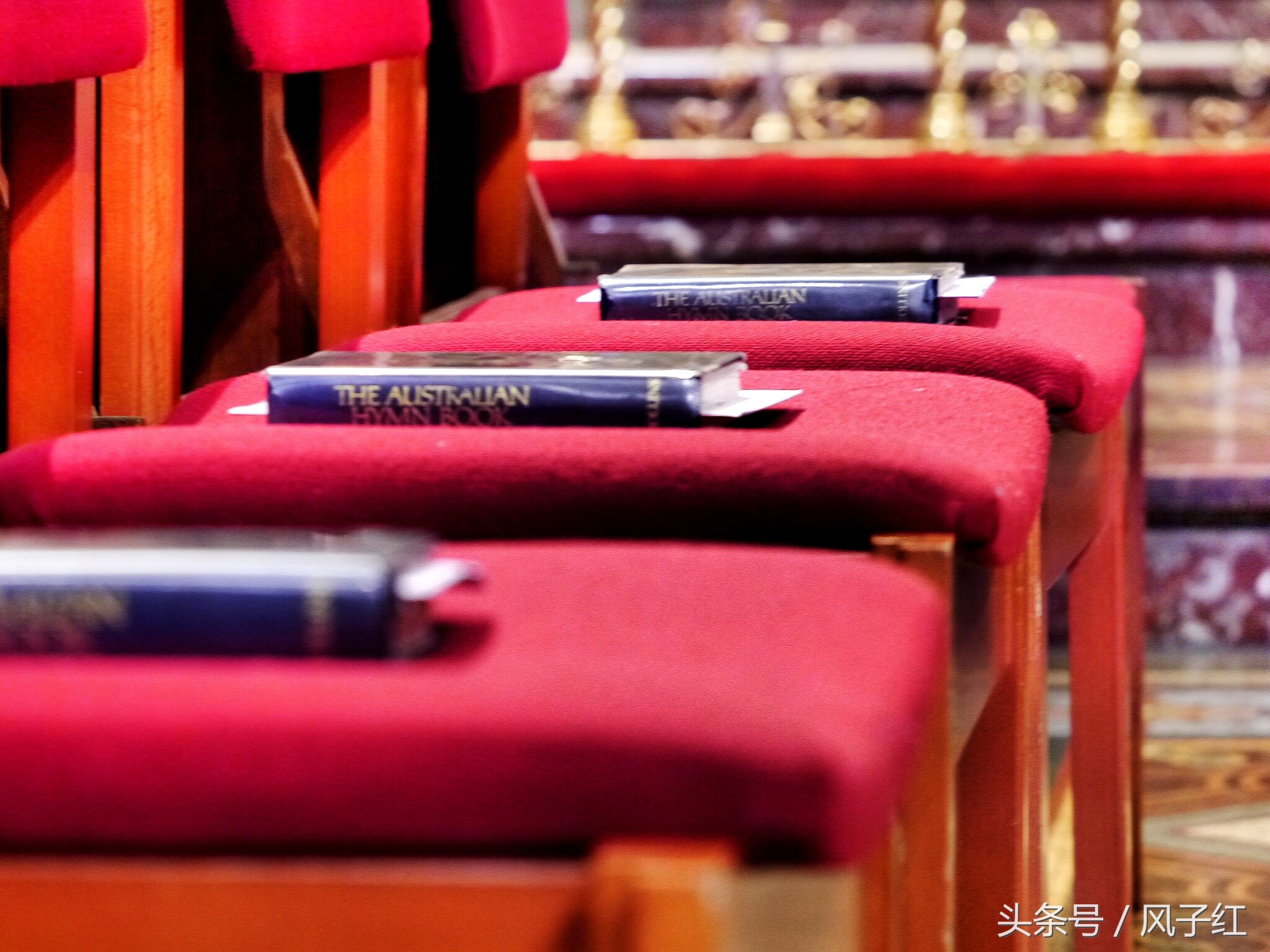 CityTour丨弃车暴走墨尔本,看看人家的街头文化