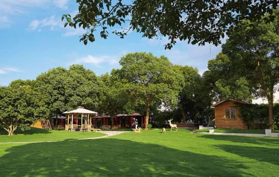 宁波十大休闲会所,宁波休闲农庄有哪些