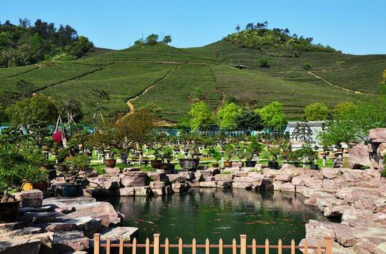 宁波十大休闲会所,宁波休闲农庄有哪些