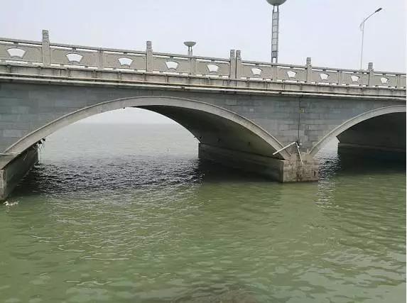 苏州东山白玉枇杷采摘园图片,苏州东山太湖名居白玉枇杷采摘园