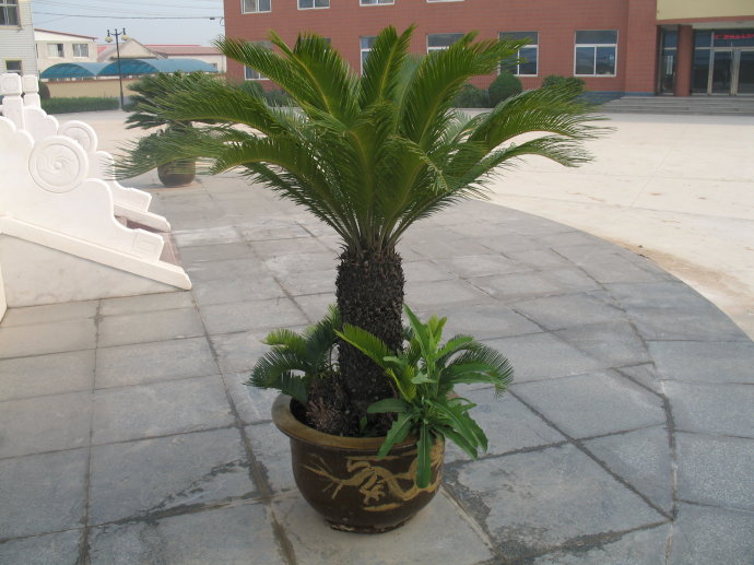 注意这几件事让你永葆青春,注意这些让你少吃亏