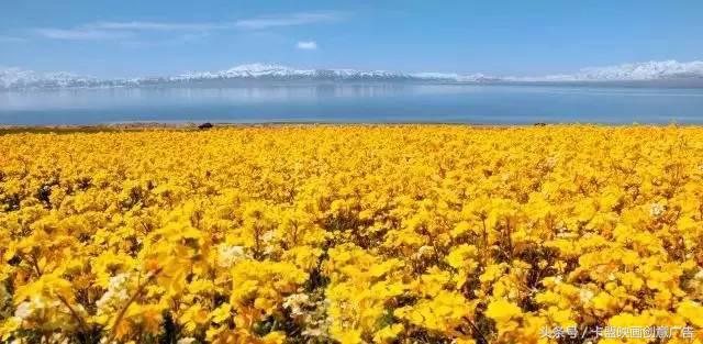 2万5千公里｜跨越半个中国，我们在路上等你