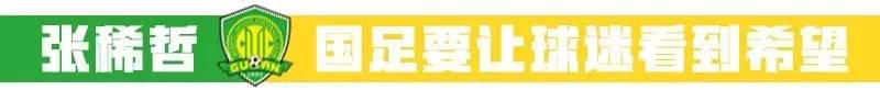张稀哲国安外援,张稀哲助攻国安