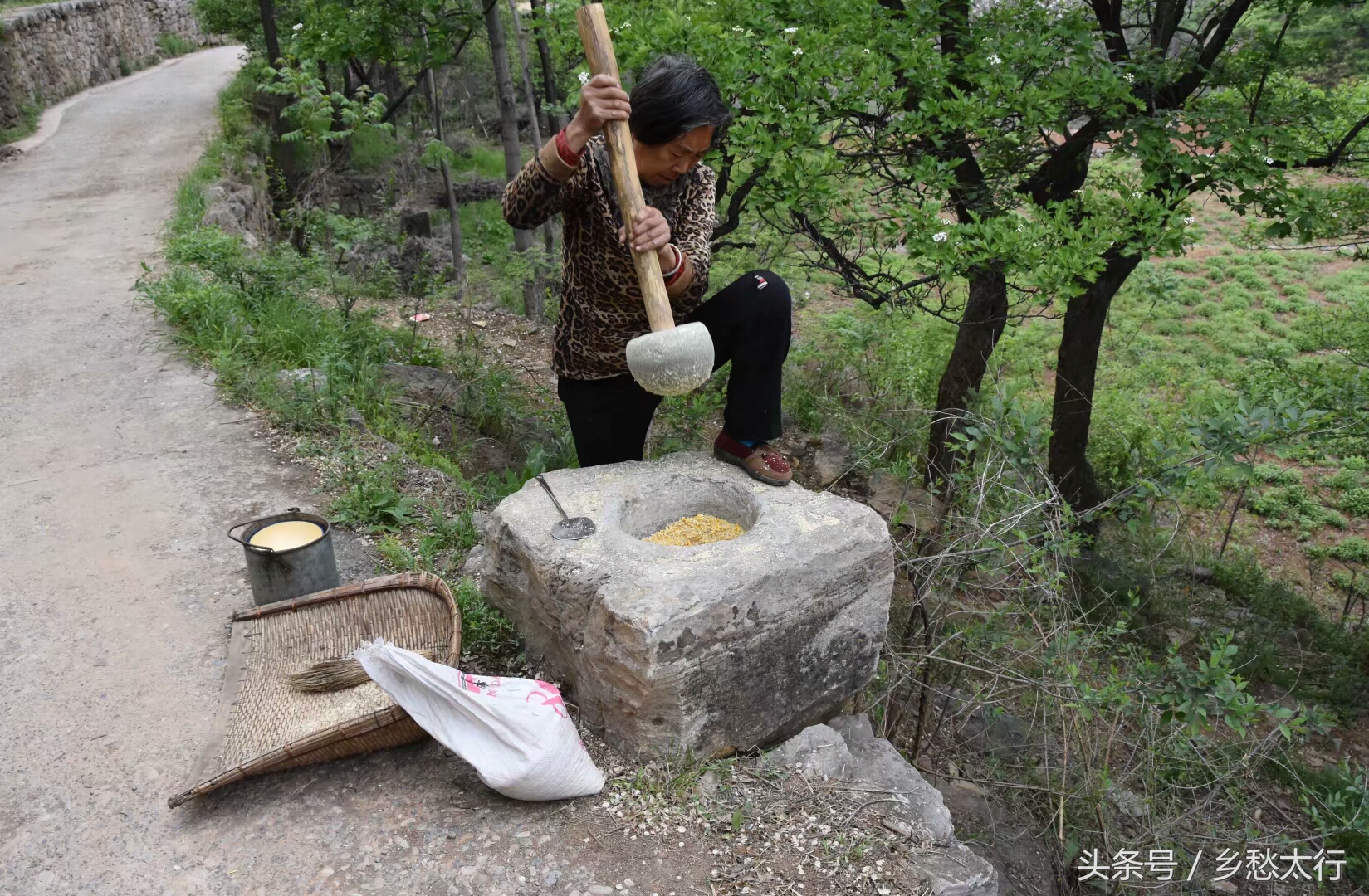 黍米面的做法大全简单又好吃,甘肃黄米面条的家常做法