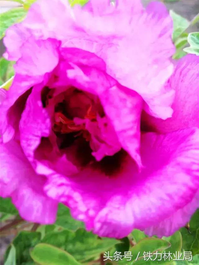 走进森林空气格外清新,走进天然氧吧呼吸新鲜空气