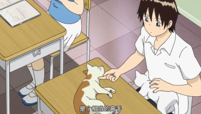 神回PK：二次元摸鱼哪家强