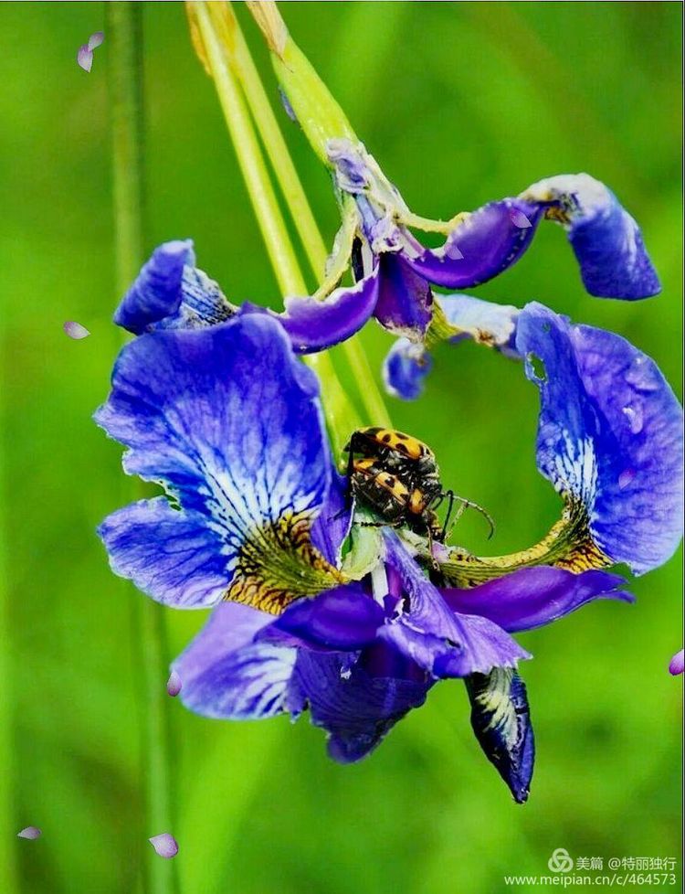 走过四季夏天最美,走过春夏美丽的秋冬