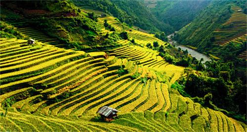 治腰间盘突出什么方法有效,治疗腰间盘突出最佳动作