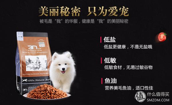 简单训犬小技能,简单学训犬