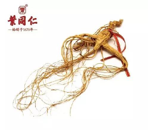 人参虽补但也不可胡乱进补,人参怎么吃才能大补