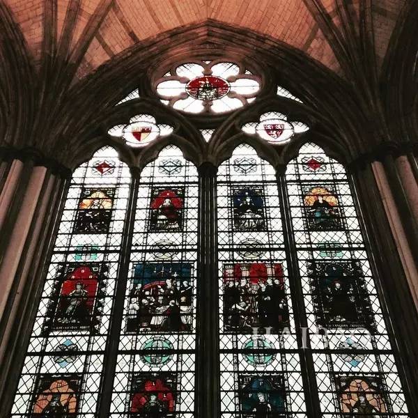 2017蛇与骨的华丽融合!古驰又承包了我下半年的钱包了!