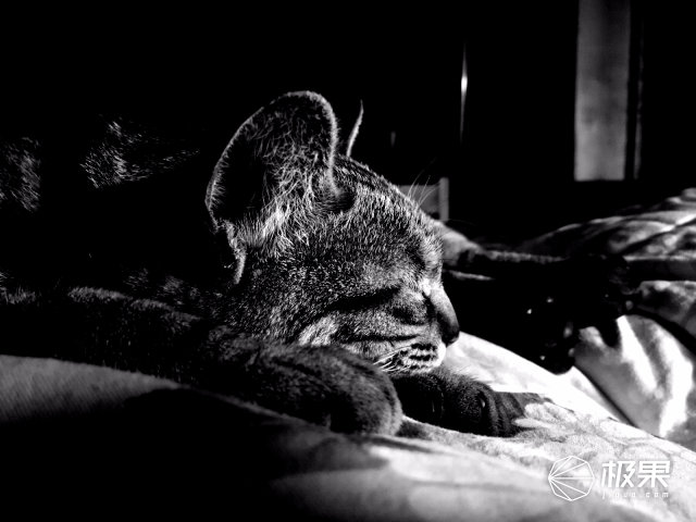 柯达最强胶卷,柯达胶卷现状