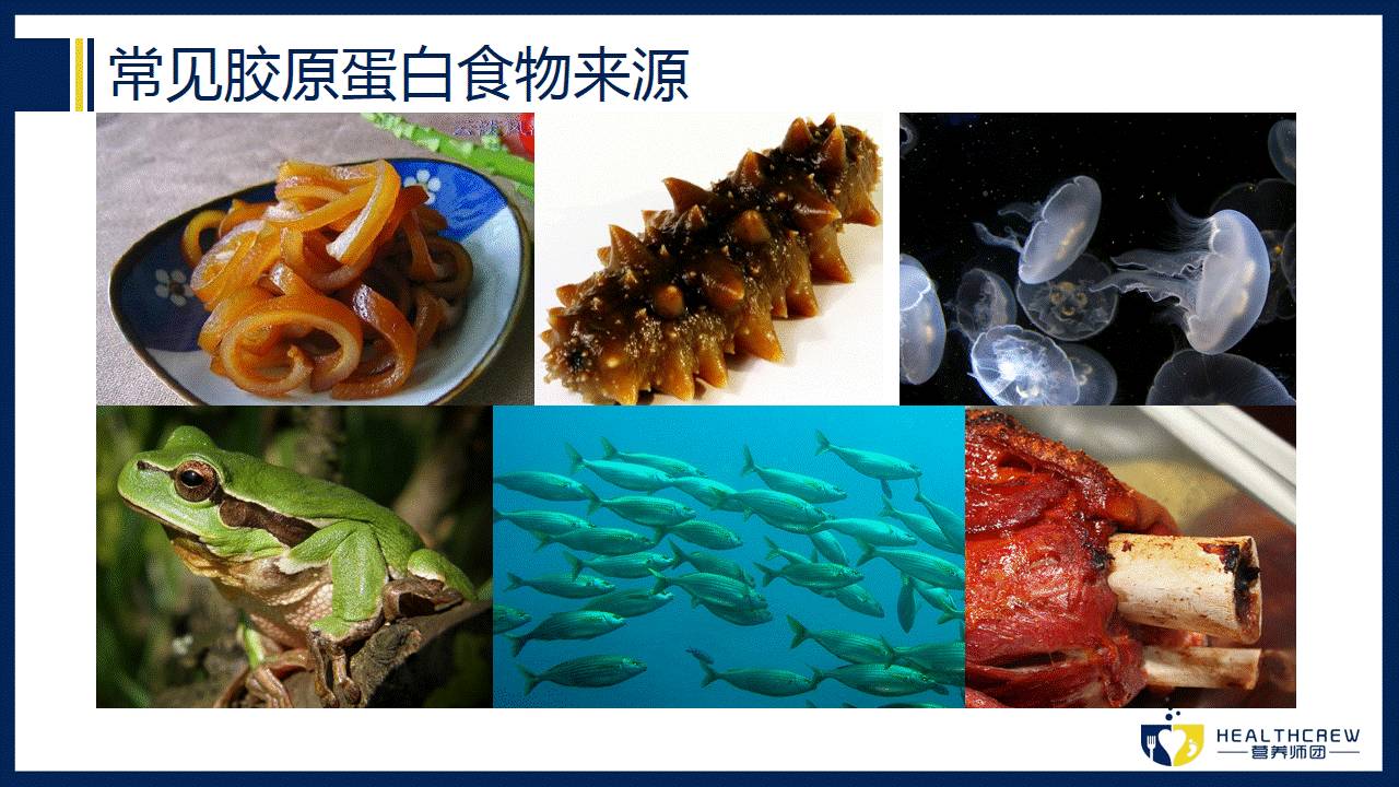 胶原蛋白的8大功效值得一看,八一八胶原蛋白