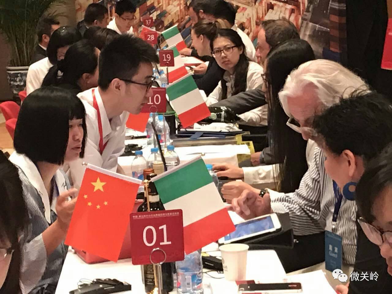 关岭格子花与意大利服装品牌CALCEVIVA洽谈成功